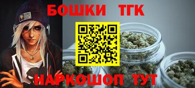 шишки Изобильный