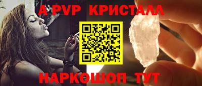 шишки Изобильный