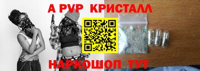 шишки Изобильный