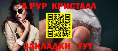 шишки Изобильный