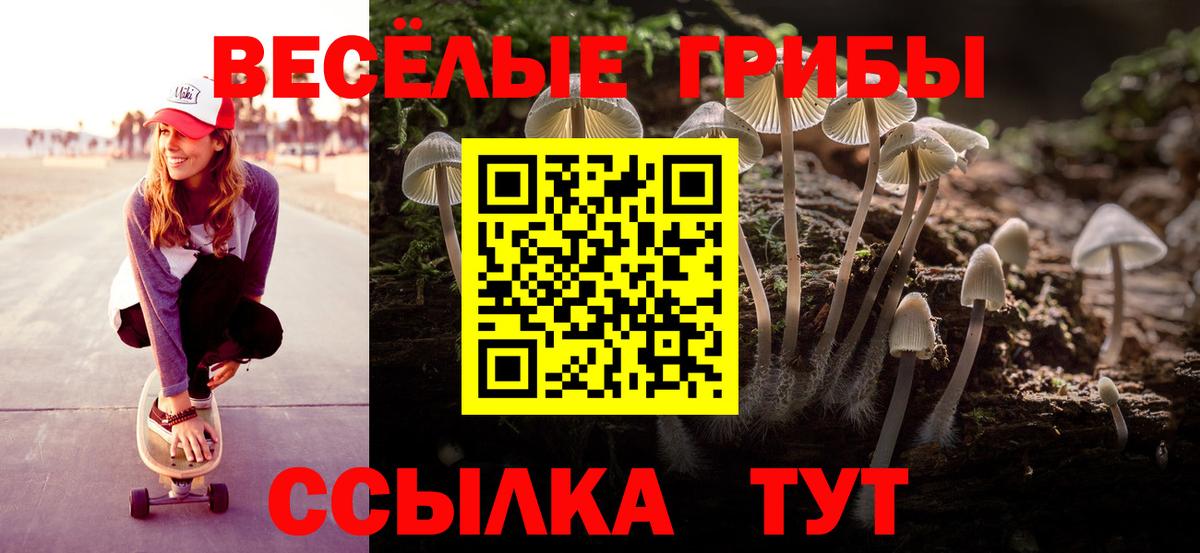 Псилоцибиновые грибы мицелий Курчатов
