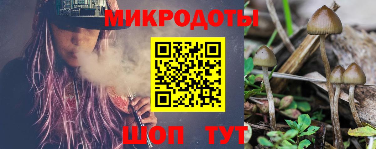 Галлюциногенные грибы Psilocybine cubensis  Вход с VPN  Галлюциногенные грибы Psilocybine cubensis  купить закладку  Курчатов 